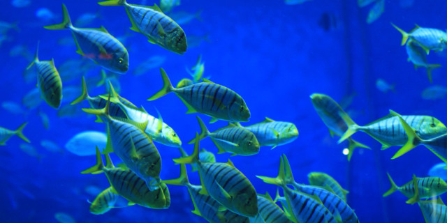 布里斯班进悉尼出,东航经济舱机票+1年澳大利