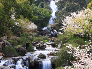 杭州临安白水涧