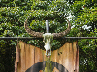 神农架国家级自然保护区