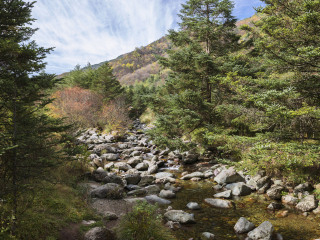 神农架国家级自然保护区