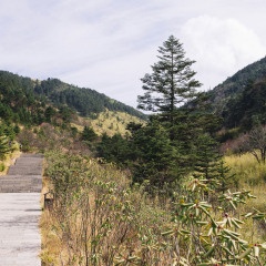 神农架保护区