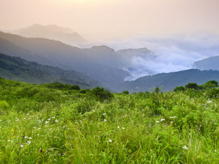 松山森林公园