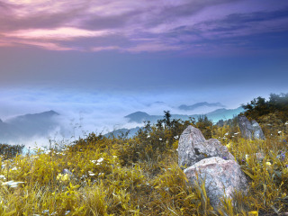 松山森林公园