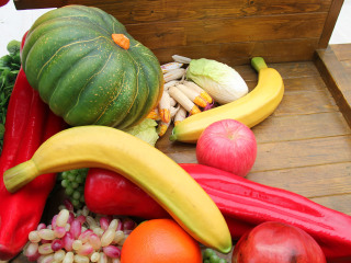 广州永乐绿色生态农庄