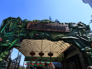 大自然野生昆虫馆