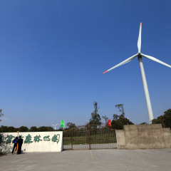 滨海森林公园