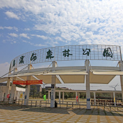 滨海森林公园