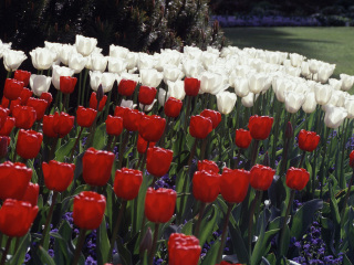 塞舌尔国家植物园