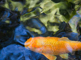 天涯热带海洋动物园