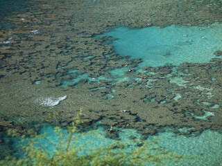 恐龙湾自然保护区