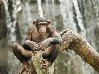 香江野生动物世界