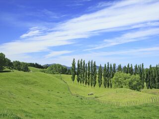 千野草场