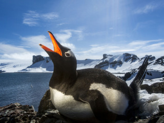 菲利普岛自然公园