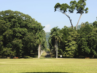马特莱国家香料园