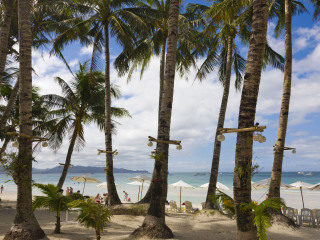 圣卡洛斯大学博物馆旅游景点介绍_2018圣卡洛