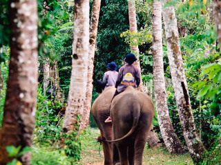 巴厘岛野生动物园