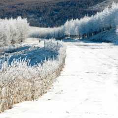 玉泉北极滑雪场