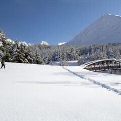 清闲庄园滑雪场