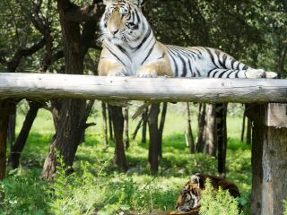 厦门海沧野生动物园