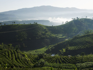 宁波余姚丹山赤水