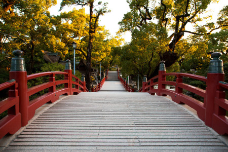 [春节]<日本福冈+大分当地1日游>九重梦大吊桥，赏九重连山，探险天空步道，灶地狱，泡葫芦温泉，中文导游，含午餐