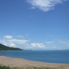 活动模块 