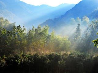 宁波余姚丹山赤水