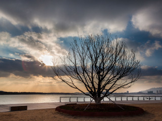 青岛世界园艺博览园