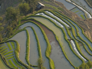 元阳梯田