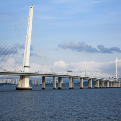 深圳湾