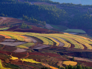 七彩云南文博园