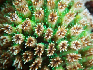 太平洋海底世界