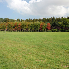 中山公园