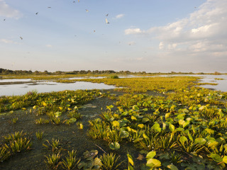 大沼泽国家公园