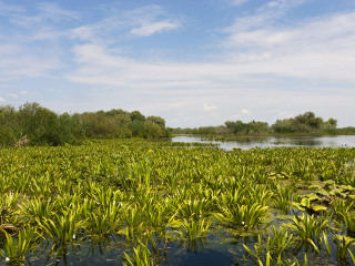大沼泽国家公园