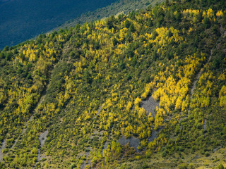 康定跑马山风景区