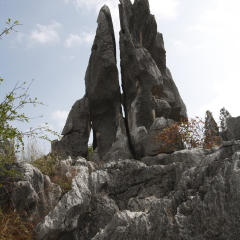 云南石林风景名胜区