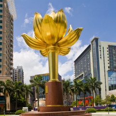 金莲花广场