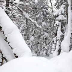 雪乡大雪谷