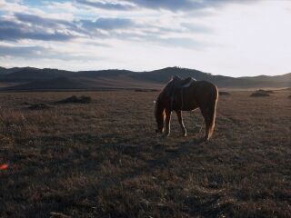 塞罕坝国家森林公园