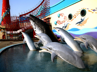 大连圣亚海洋世界