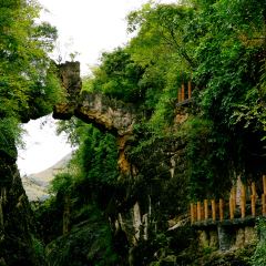 景点模块 
