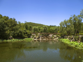 五缘湾湿地公园