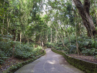 巴厘岛乌布村