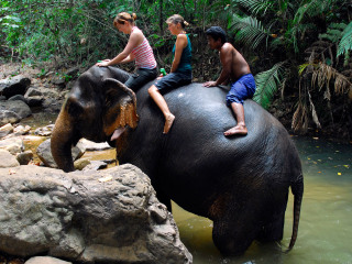 巴厘岛野生动物园
