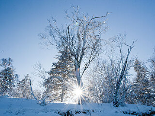 永吉北大湖滑雪场