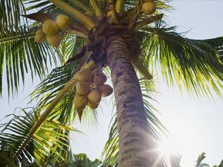 玛依谷地自然保护区