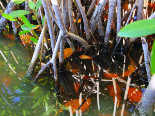 浐灞国家湿地公园