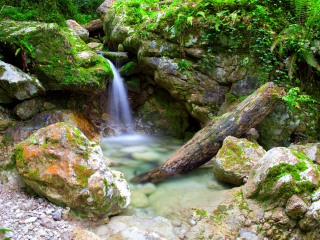 深里河