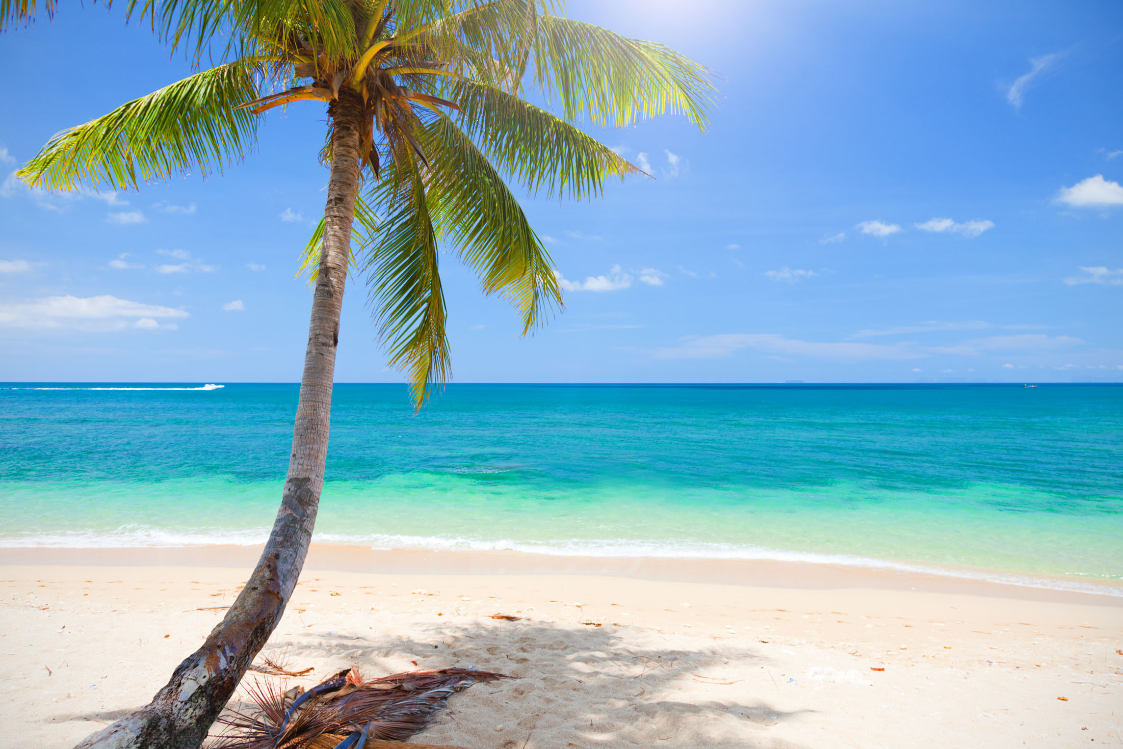 【特卖会】_特价旅游_旅游打折优惠_旅游特卖